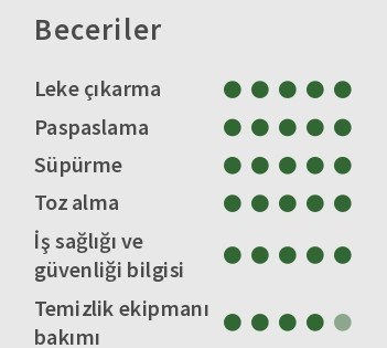 Temizlik Personeli CV’si Beceriler