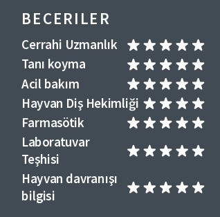 Veteriner Beceriler